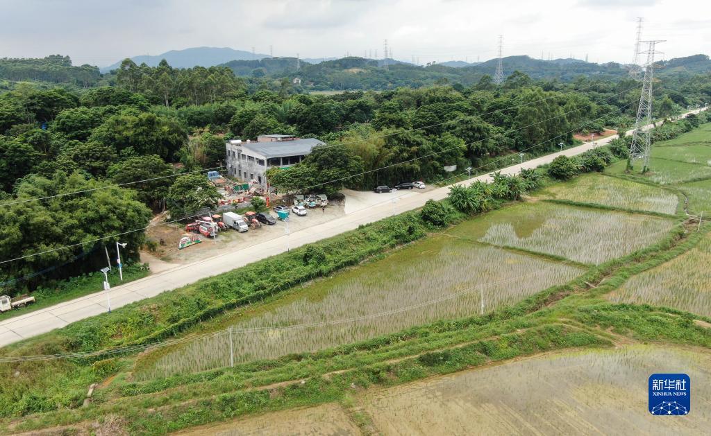 网上现金斗地